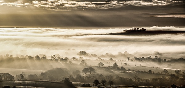 Morning Mist - Andrew Newman Photography