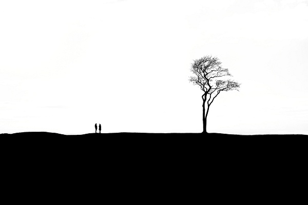 2 Hearts, 1 Tree - Andrew Newman Photography 