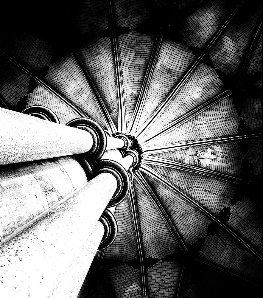 Up to the light