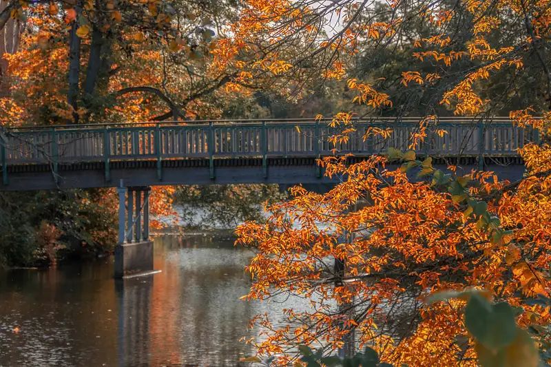 Fall-bridge1