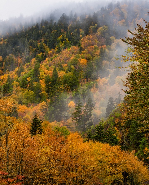 Smokies-autumn-colors-1 - HOME - Walnut Ridge Photography 