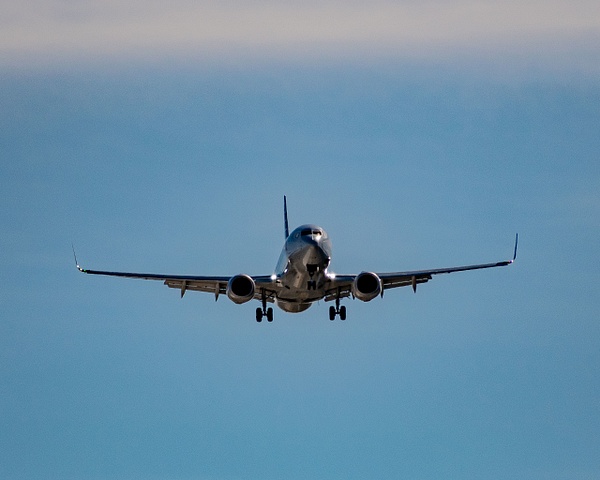 AAL B737-800 Head On - Airplanes - KDS Imagery Photography  
