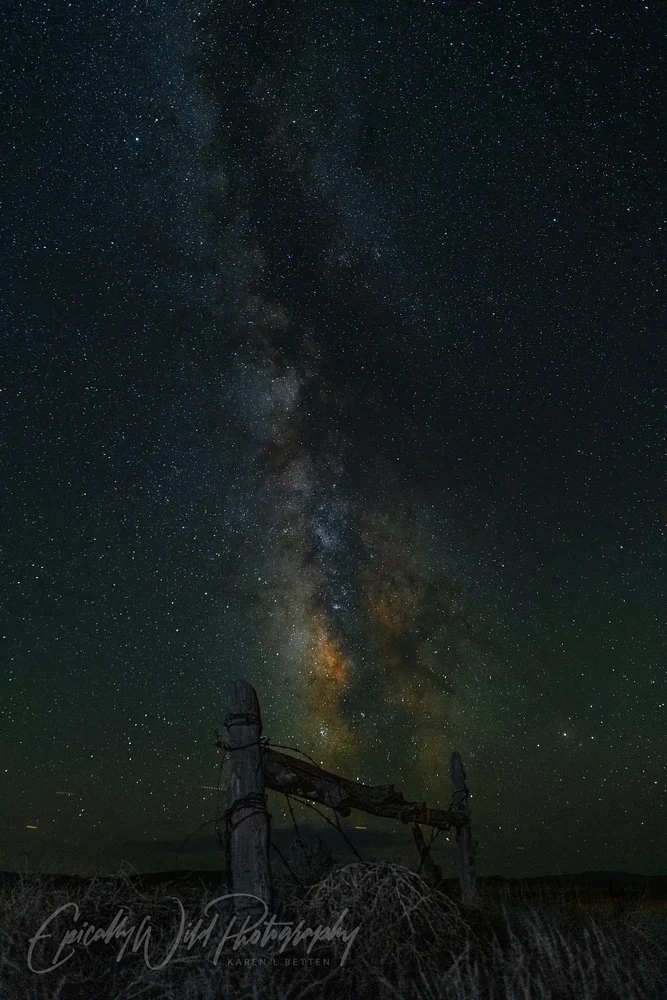 Starlit Fence Beneath Galactic Splendor