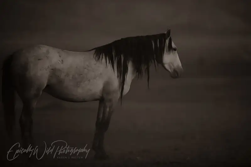Ethereal Gray Horse in Soft Monochrome