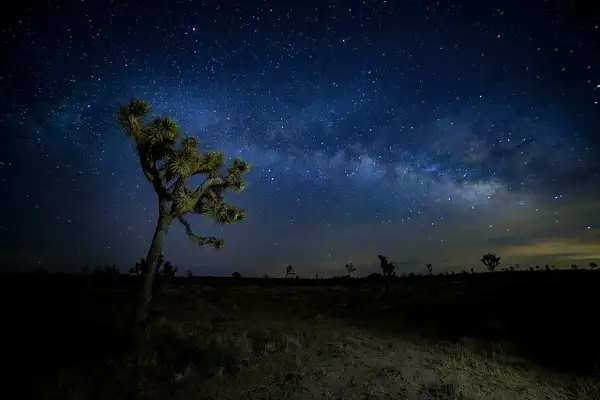 Milky Way Over Joshua Tree National Park by...