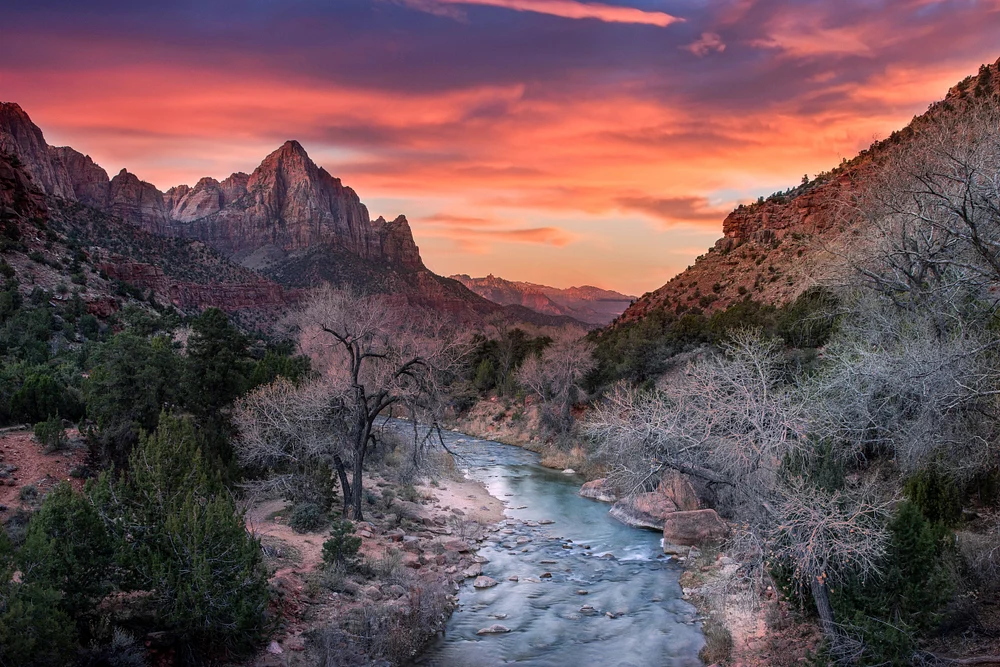 Zion Sunset