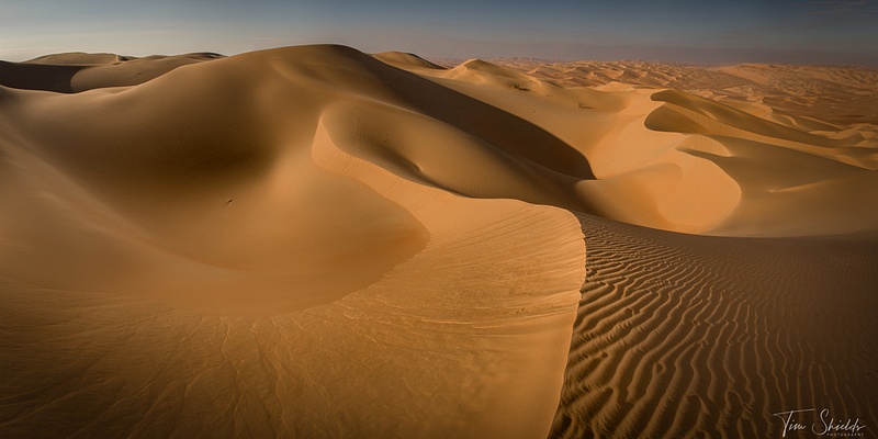 Desert's Curves