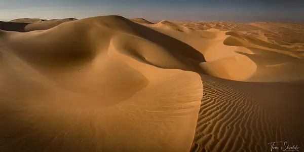 Desert's Curves by Tim Shields