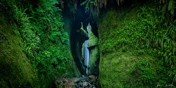 O-LN_Tim-Shields_Rain-Forest-Canyon - Rockscapes - Tim Shields Photography 