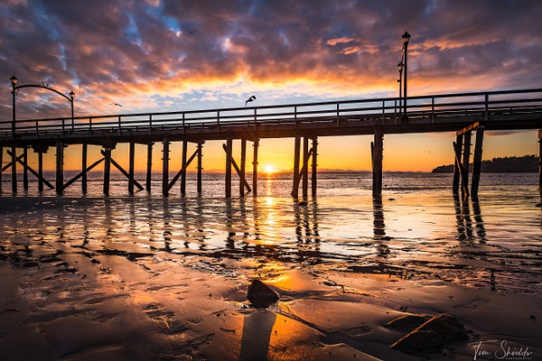 White Rock Pier Sunset 7250 4k_ - Tim Shields Photography
