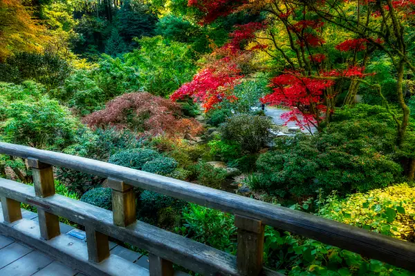Japanese Gardens-444-Edit by jaxphotos