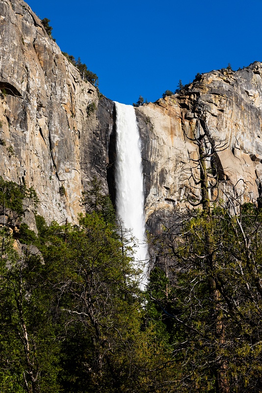 Yosemite R5-585