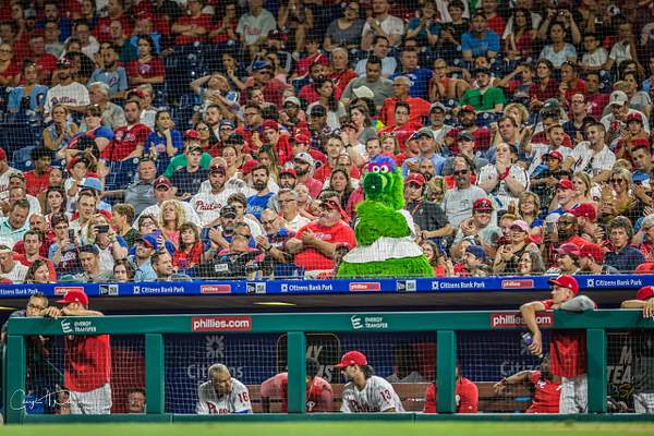 Phillies vs Padres 8/17/2019 by Cheryl Pursell
