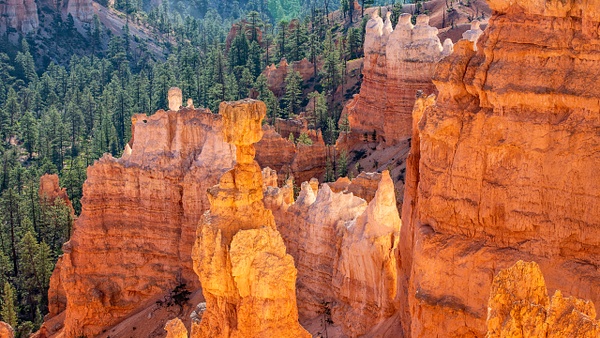 03 Bryce Canyon National Park (12) - U.S. NATIONAL PARKS - September 2015 - François Scheffen Photography