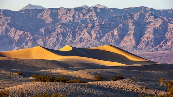 15. Death Valley N.P.  (1) Mesquite Flat Sand Dunes - U.S. NATIONAL PARKS - September 2015 - François Scheffen Photography