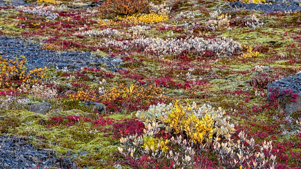 BL2P1420x Svínafellsjökull, Nationalpark Skaftafell - François Scheffen Photography