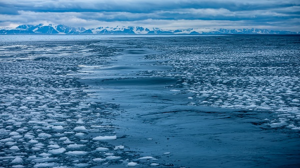 6. 80°N Drift ice (6) - SVALBARD - SPITSBERGEN - François Scheffen Photography