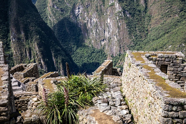 1. Machu Picchu  (6) - PERU - Machu Picchu - François Scheffen Photography