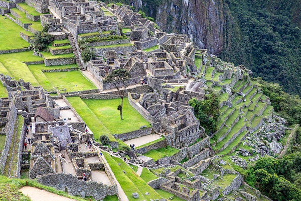 1. Machu Picchu  (23) - PERU - Machu Picchu - François Scheffen Photography 