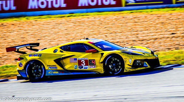 IMSA GTLM  Corvette - Motorsports - PhotographyScott