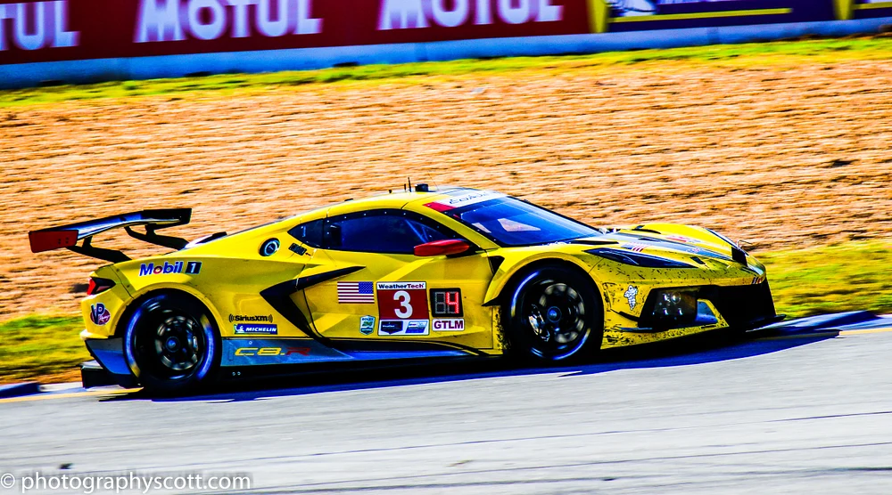 IMSA GTLM  Corvette
