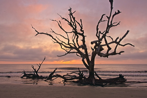 Boneyard Sunrise - Shore Landscapes - Phil Mason Photography 