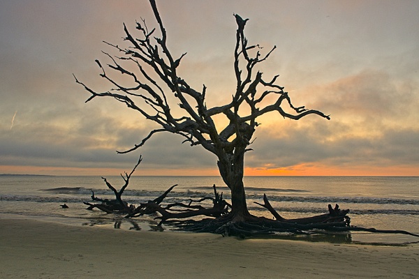 Boneyard Sunrise 4 - Shore Landscapes - Phil Mason Photography  