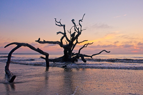 Boneyard Sunrise 3 - Shore Landscapes - Phil Mason Photography  