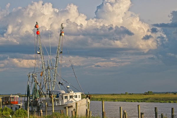 Darien Shrimp Boats 2 - Shore Landscapes - Phil Mason Photography 
