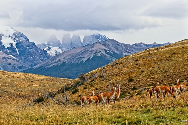 Torres del Paine 4 - Landscapes - Phil Mason Photography 