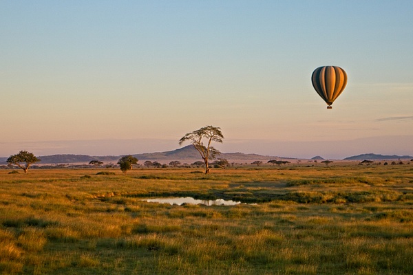 Hot Air Balloon Serengeti 1 - Landscapes - Phil Mason Photography 