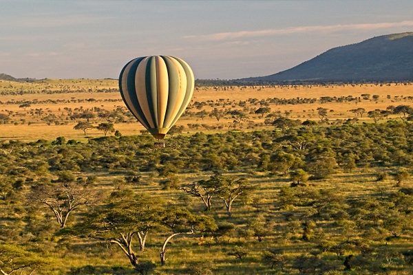 Early Morning  Over the Serengeti - Landscapes - Phil Mason Photography 