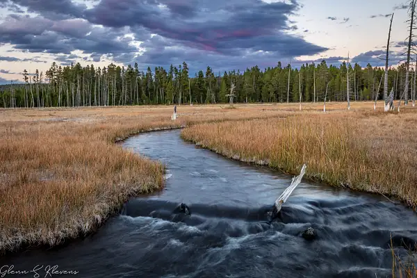 Yellowstone Brook by Glenn Klevens