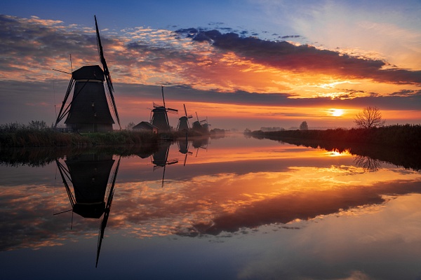 Kinderdijk windmill sunrise - Landscape - Michel Voogd Photography 