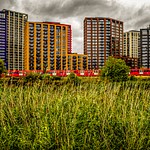 Cody Dock / River Lea photography competition