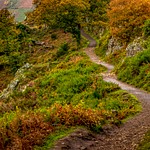 Dartmoor autumn hike