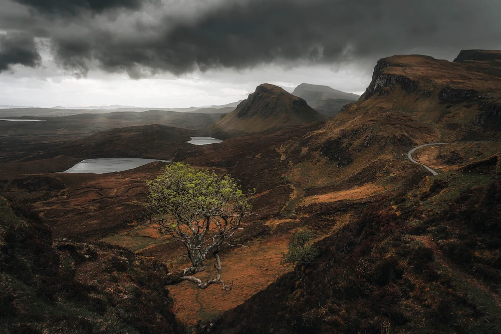 Quiraing tree
