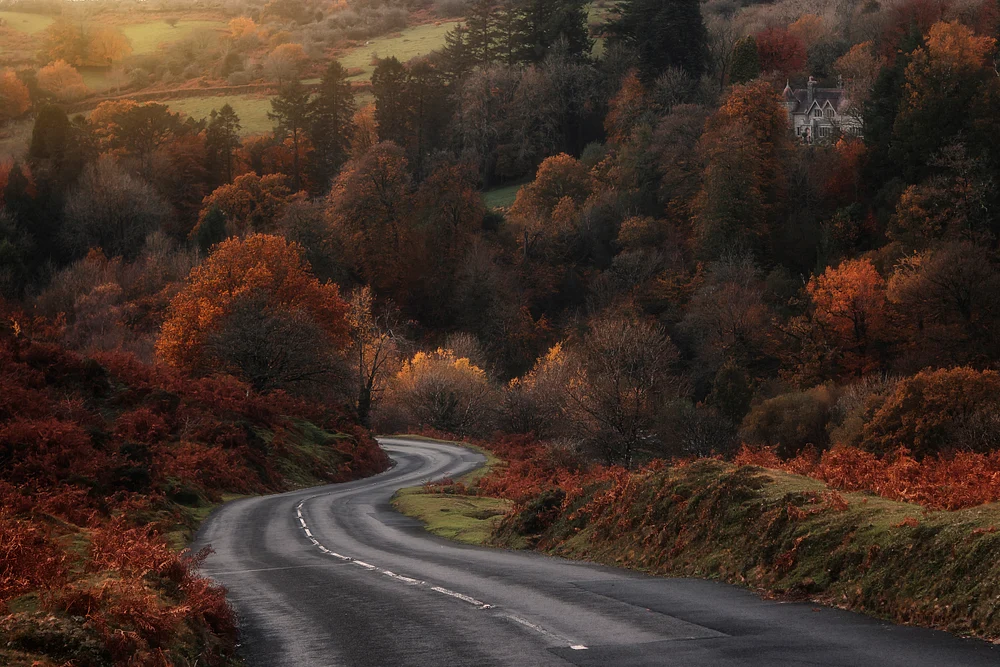 The Long And Winding Road