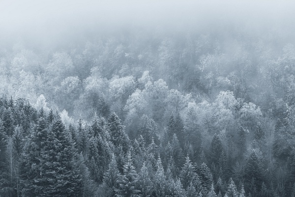 belchenflue-forest-fog-switzerland-canton-basel-land-marko-klavs-photography-fine-art - Black &amp; White - Marko Klavs Photography 
