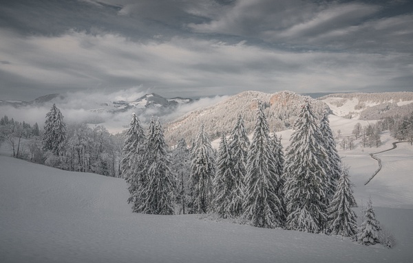 belchenflue-forest-fog-winter-switzerland-canton-basel-land-marko-klavs-photography-fine-art - Landscape - Marko Klavs Photography