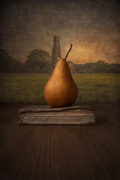 Pear - On - Book - still - life - marko - klavs -...