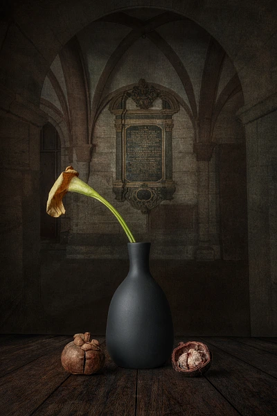 Marko Klavs Photography