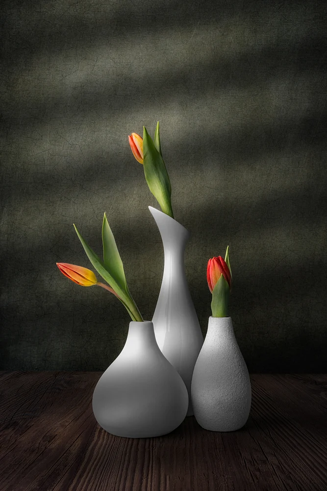 Quiet Conversation by Marko Klavs, a fine art still life photograph of three white ceramic vases holding vibrant tulips against a textured background, illuminated by soft directional light.