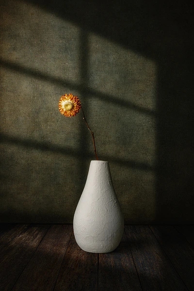 Window of Silence by Marko Klavs, a fine art still life photograph of a single everlasting flower in a handcrafted white vase, illuminated by geometric bands of light against a dark background.