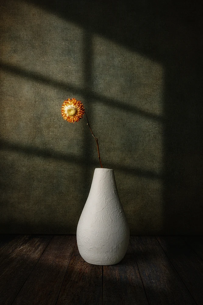 Window of Silence by Marko Klavs, a fine art still life photograph of a single everlasting flower in a handcrafted white vase, illuminated by geometric bands of light against a dark background.