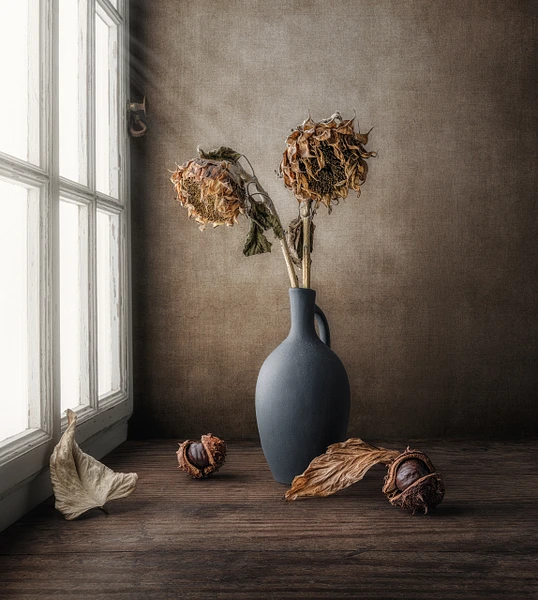 When Summer Sleeps by Marko Klavs, a fine art still life photograph of two dried sunflowers in a dark ceramic vase surrounded by fallen leaves and seed pods on an aged wooden table, illuminated by soft window light.