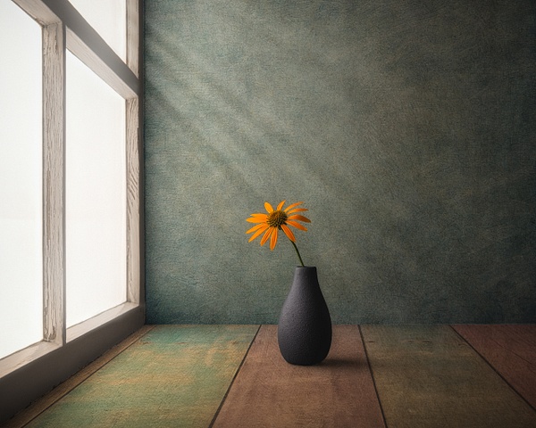 A Quiet Bloom by Marko Klavs, a fine art still life photograph of a single orange flower in a dark ceramic vase beside an old window, illuminated by soft morning light.