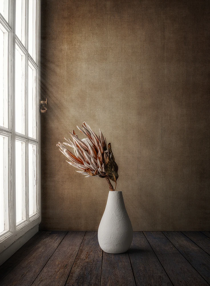 Quiet Resilience by Marko Klavs, a fine art still life photograph of a dried King Protea in a white vase beside an old window, illuminated by soft natural light in a timeless interior.