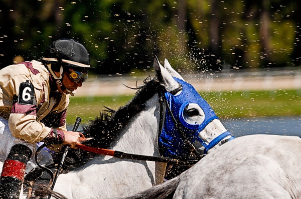 Horse Race 2 - Scott Kelby Photography