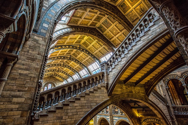 Museum Natural History , London, England - Scott Kelby Photography